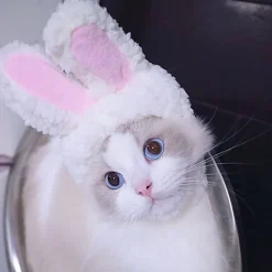 Söt kostym kaninhatt med öron för katter och små hundar festdräkt påsk husdjursaccessoar huvudbonad><noscript><img width=