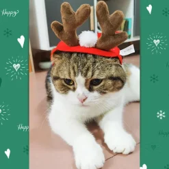 LBSS Tillbehör för husdjur Jultillbehör Hund Hårnål Katttillbehör Julhornshorn Pannband Hundhatt><noscript><img width=