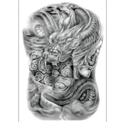 Megabilligt Tillfällig Tatuering Ryggtavla Drake> Smink