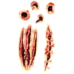 XiaoTeng Tillfällig Tatuering 10x5cm - Halloween special! Sår> Smink