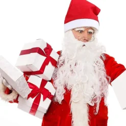 Tomte skägg och peruk set - Juldräkt accessoarer, karaktärsförklädnad, maskerad och present> Tillbehör