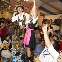 Tysk Oktoberfest Dirndl Klänning - Traditionell Bayersk Kostym (S, Gråblå)[JSR]><noscript><img width=